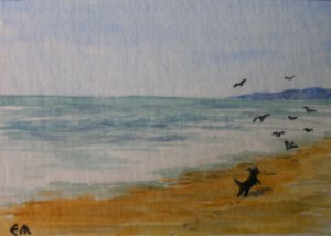 Summer Chase