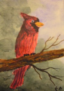 Cardinal