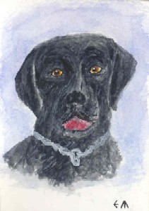 Black Lab I