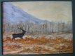 High-Country Elk
