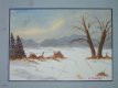 Snowy Hollow