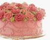 Wilton method cake decorating